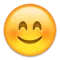 Smiling Face with Smiling Eyes emoji on iPhone (iOS 5.1)