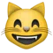Kucing yang menyeringai dengan mata tersenyum emoji di Apple iOS 9.0
