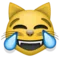 Cat with Tears of Joy emoji on iPhone (iOS 5.1)