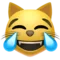 Γάτα με δάκρυα χαράς emoji στο iPhone (iOS 17.4)