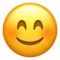 Smiling Face with Smiling Eyes emoji on iPhone