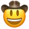 Cowboy Hat Face emoji on iPhone