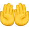 Palms Up Together emoji on Apple iOS 11.2
