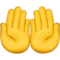 Palms Up Together emoji on Apple iOS 17.4