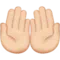 Palms Up Together: Light Skin Tone emoji on iPhone