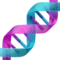DNA emoji di Apple iOS 17.4