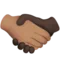 Handshake: Medium Skin Tone, Dark Skin Tone emoji on iPhone