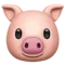 Pig Face emoji on iPhone (iOS 14.6)