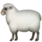 Ewe emoji on iPhone (iOS 13.1)
