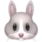 Rabbit Face emoji on Apple iOS 12.2