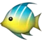 Tropical Fish emoji on iPhone (iOS 5.1)