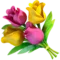 Bouquet emoji on Apple iOS 17.4