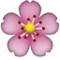 चेरी खिलना iPhone पर इमोजी (iOS 4.0)
