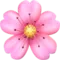 Körsbärsblom emoji på iPhone (iOS 12.2)