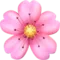 Cherry Blossom emoji on Apple iOS 18.4