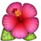 Hibiskus emoji på iPhone (iOS 5.0)
