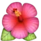 Hibiskus emoji på iPhone (iOS 9.1)