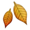 Fallen Leaf emoji on iPhone (iOS 5.1)