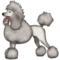 Poodle emoji on Apple iOS 9.1
