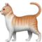猫 iPhone 上的表情符号 (iOS 14.2)