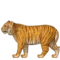 Τίγρη emoji στο iPhone (iOS 10.0)