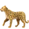 Leopard emoji on iPhone (iOS 13.1)