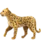Leopard emoji di Apple iOS 18.4