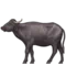 Water Buffalo emoji on Apple iOS 10.0