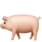 Prase emoji na Apple iOS 17.4