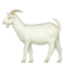 Goat emoji on iPhone (iOS 5.1)