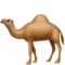 ऊंट iPhone पर इमोजी (iOS 10.2)