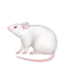 Mus emoji på iPhone (iOS 9.1)