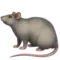 Råtta emoji på iPhone (iOS 11.2)