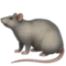 Rat emoji on Apple iOS 18.4