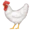Κόκκορας emoji στο iPhone (iOS 6.0)