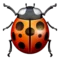 Nyckelpiga emoji på iPhone (iOS 11.2)