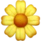 לִפְרוֹחַ אימוג׳י ב-Apple iOS 14.5