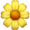 Blossom emoji on iPhone