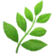 草本植物 iPhone 上的表情符号 (iOS 11.3)