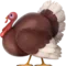Turkey emoji on iPhone (iOS 13.1)