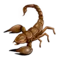 Skorpion emoji på iPhone (iOS 9.1)