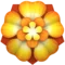 ️ Rosett emoji på Apple iOS 18.4