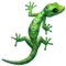 Kadal emoji di iPhone (iOS 14.5)