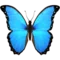 Butterfly emoji on Apple iOS 14.5