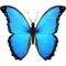 Butterfly emoji on iPhone