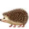 Hedgehog emoji on Apple iOS 18.4