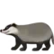 Mäyrä emoji Applella iOS 17.4