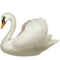 Swan emoji on Apple iOS 14.5