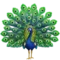Peacock emoji on Apple iOS 17.4