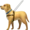 导盲犬 iPhone 上的表情符号 (iOS 14.2)